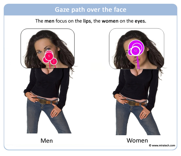 Gaze path over the face